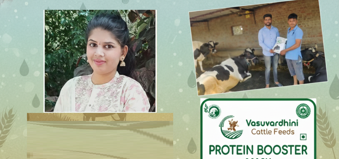 Vasuvardhini cattle feed